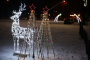 IMG8871