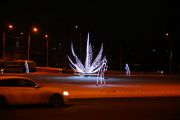 IMG8936