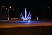 IMG8937