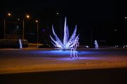 IMG8938