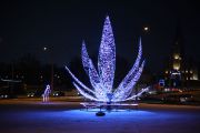 IMG8939