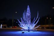 IMG8940