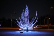 IMG8941