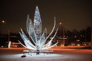 IMG8942