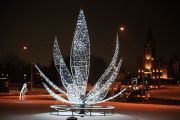 IMG8943