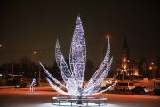 IMG8945