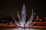 IMG8947