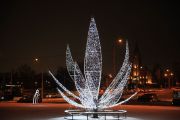 IMG8948