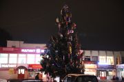 IMG8954