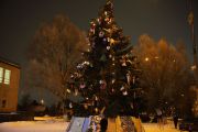 IMG8992