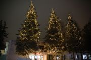 IMG8998