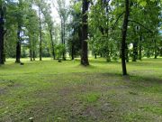 photo2025-07-1115-33-38