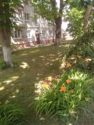 photo2025-07-1115-33-39-6